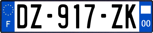 DZ-917-ZK