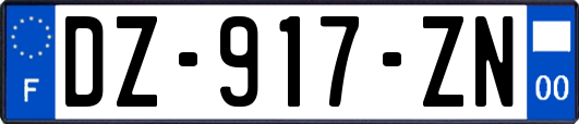 DZ-917-ZN