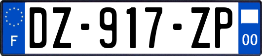 DZ-917-ZP