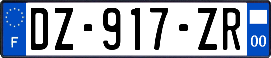 DZ-917-ZR