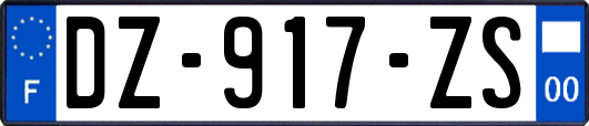 DZ-917-ZS