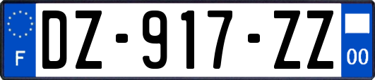 DZ-917-ZZ