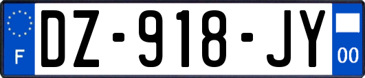 DZ-918-JY