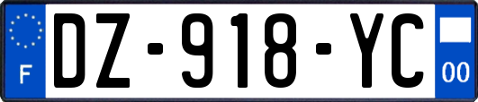 DZ-918-YC