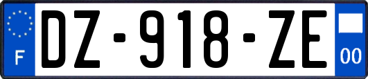 DZ-918-ZE