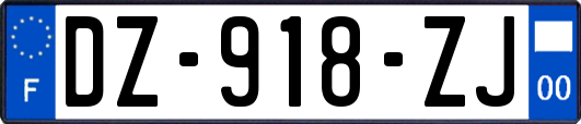 DZ-918-ZJ