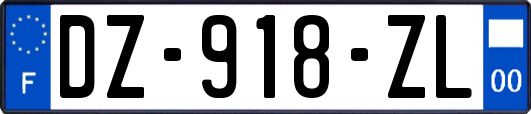 DZ-918-ZL