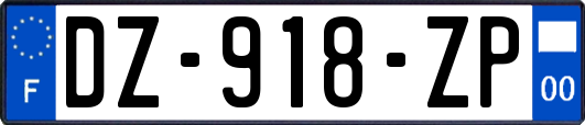 DZ-918-ZP