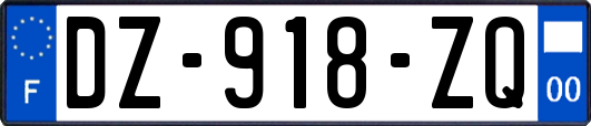 DZ-918-ZQ