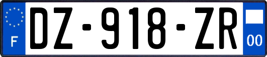 DZ-918-ZR