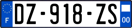 DZ-918-ZS