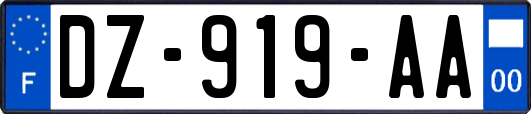 DZ-919-AA