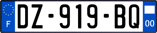 DZ-919-BQ