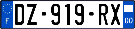 DZ-919-RX