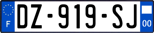 DZ-919-SJ