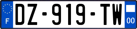 DZ-919-TW