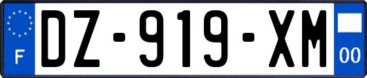 DZ-919-XM