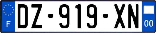 DZ-919-XN