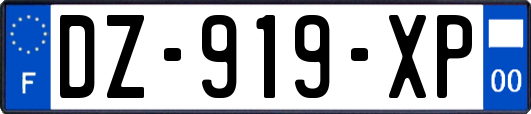 DZ-919-XP