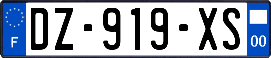 DZ-919-XS