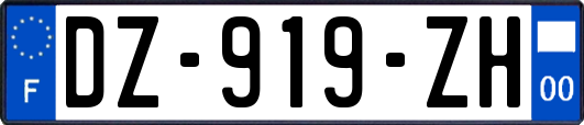 DZ-919-ZH