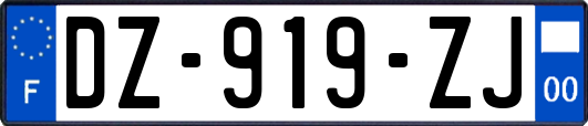 DZ-919-ZJ