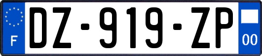 DZ-919-ZP