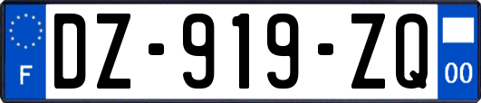 DZ-919-ZQ