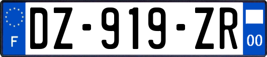 DZ-919-ZR