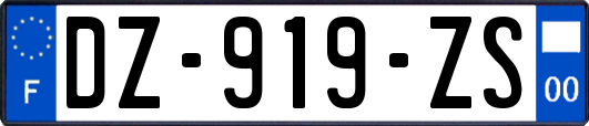 DZ-919-ZS