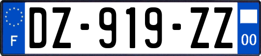 DZ-919-ZZ