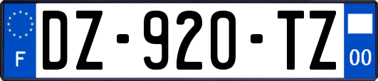 DZ-920-TZ