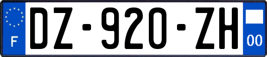 DZ-920-ZH