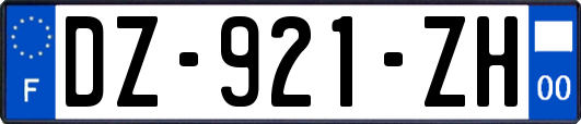 DZ-921-ZH