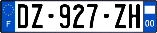 DZ-927-ZH