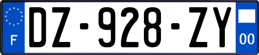 DZ-928-ZY