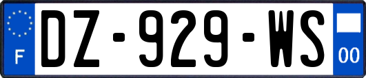 DZ-929-WS