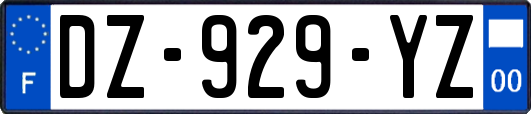 DZ-929-YZ