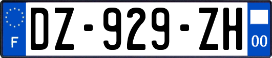 DZ-929-ZH