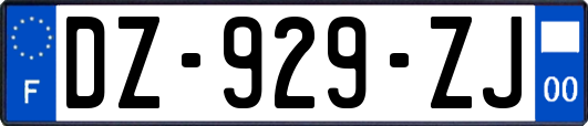 DZ-929-ZJ