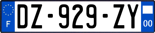 DZ-929-ZY