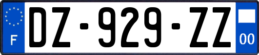 DZ-929-ZZ