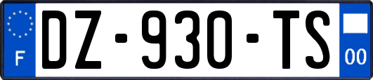 DZ-930-TS