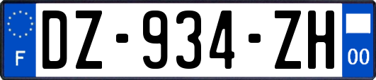 DZ-934-ZH