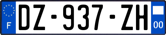 DZ-937-ZH