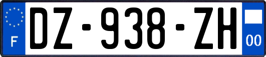 DZ-938-ZH