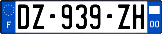 DZ-939-ZH