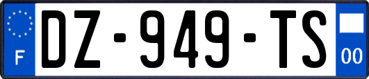 DZ-949-TS