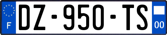 DZ-950-TS