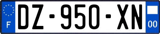 DZ-950-XN